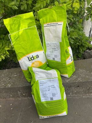 Lidea suncokret na prodaju