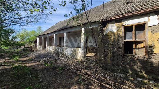 Riđica, Kuća za adaptaciju ili rušenje