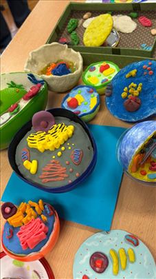 Biologija za malu maturu