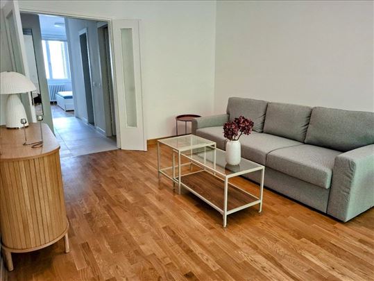 Knez Danilova 3-soban stan kompletno renoviran