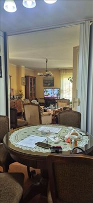 Cerak vinogradi 4.5, Kestenova