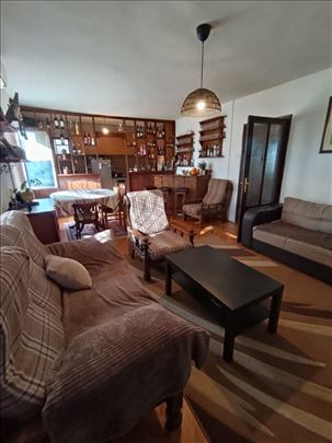 Borča,Ovčanski put,245 m2,P+Pk,uknjizena