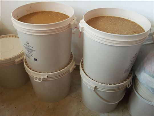 Prodajem med od uljane repice 2026 