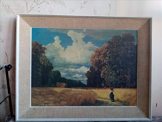 Reprodukcija na platnu