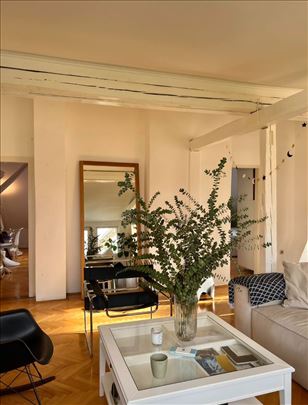 Svetozara Markovića