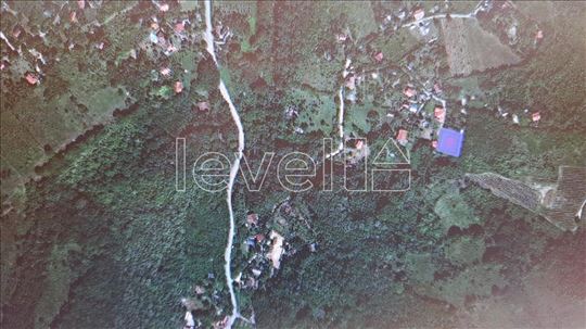 Plac,Rakovac,Rakovac,kv: 737.00