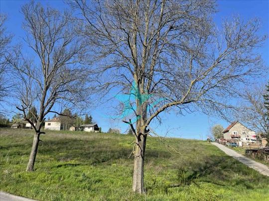 Prodaja kuće sa okućnicom u Sopotu ID#1243