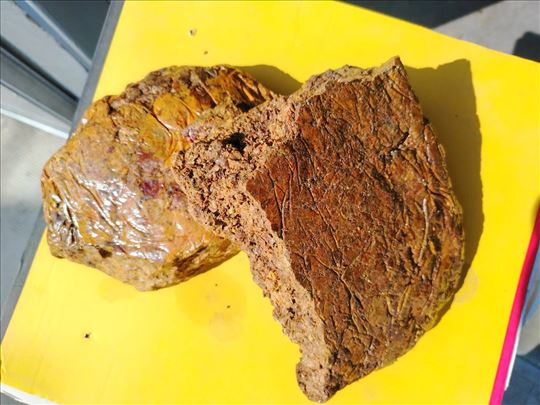 Propolis sa mrežice