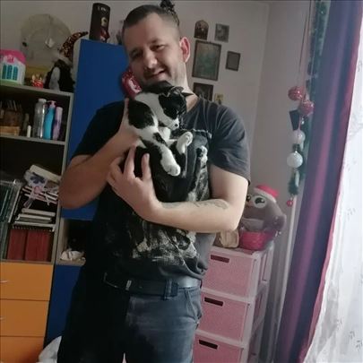 Cuvam pse i macke u dobrim uslovima,imam dvoriste.