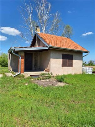 Bačka palanka-Neštin 45m2+ter, 11 ari, uknjiženo