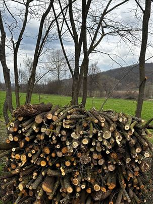 Drva za ogrev
