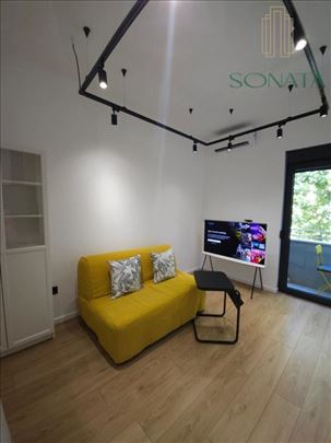 Luksuzan tek renoviran salonski studio