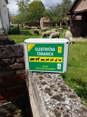 Eletrična čobanica