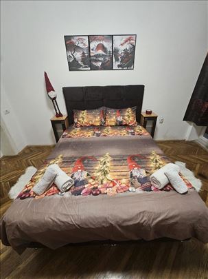Kraljice Natalije Centar, 2 stana 53m2 i 39m2 
