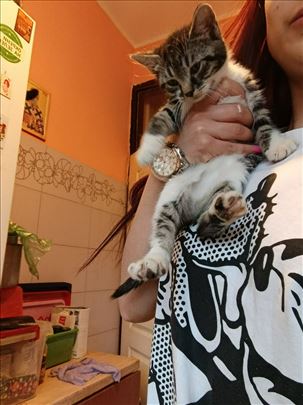 Male mace traze dom❤️