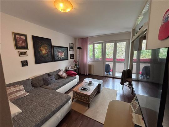 Odličan stan za život i investiciju