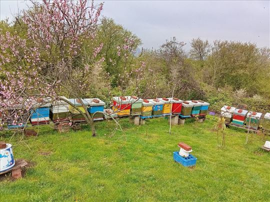 Pčelinja društva - LR - košnice 