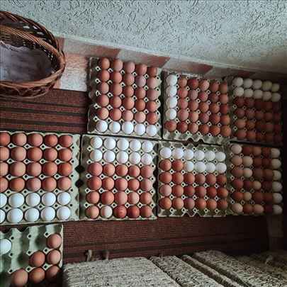 Jaja na prodaju