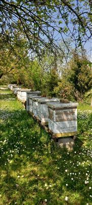 Rojevi na LR ramovima