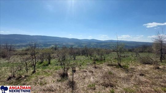 Boljevac, Rtanj - Krivi vir 2ha 49ari 60kvm
