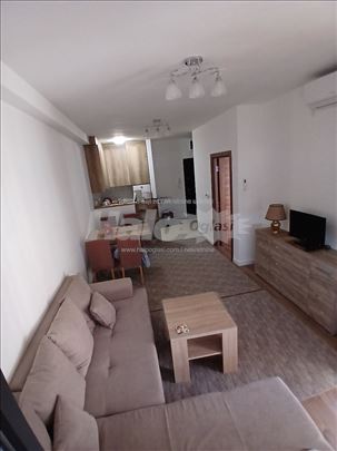 Izdajem stan sa parking mestom u Novom Surčinu