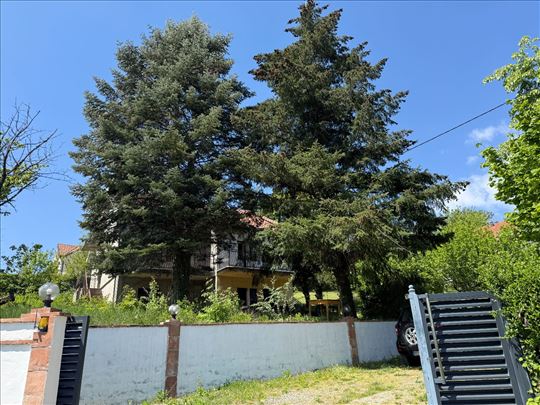 Avala - Zuce 90m2 na 7,22 ari