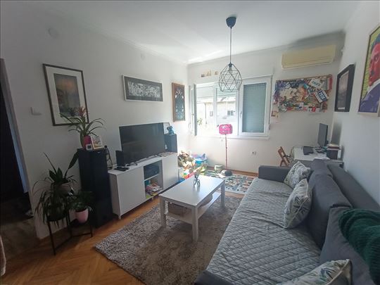 Dvosoban renoviran, Profesorska kolonija