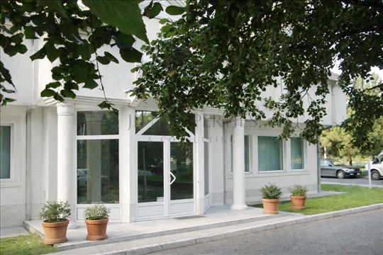 Izdavanje poslovnog prostora Novi Beograd,300 m², 