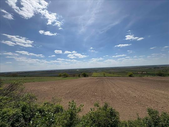 Novi Slankamen građevinsko zemljište 1542m2
