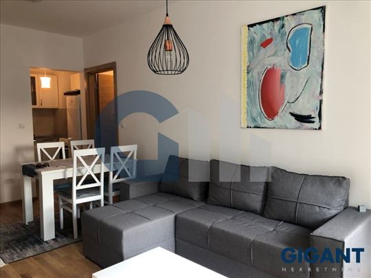 Vračar-Metohijska, 42m2, II, odličan