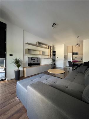 Zemunska simfonija — Moderan stan 2.5s, 2024 god