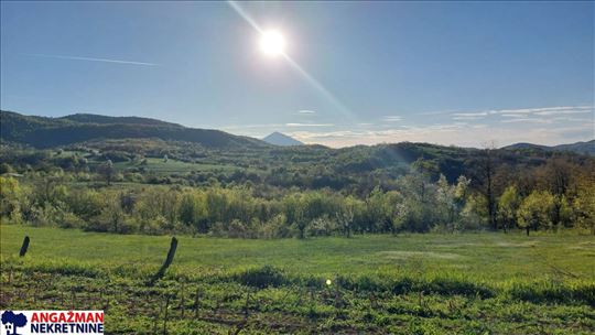 Boljevac, Rtanj - Bačevica 1ha 59ari 51kvm