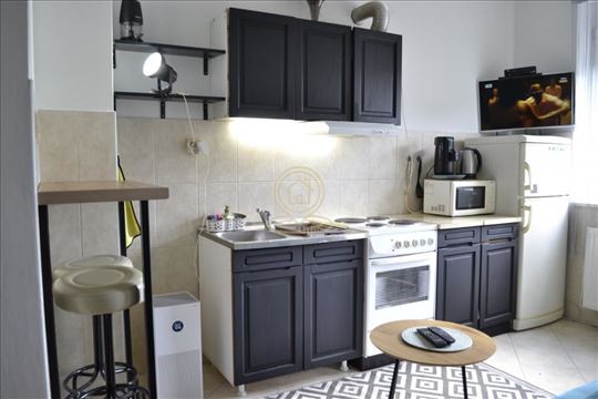 Izdavanje jednosobnog stana na Grbavici, 38m2, Pet