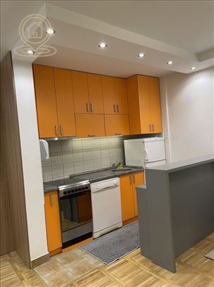 Izdavanje Stanova Novi Sad, Jednosoban Stan 50m2 S