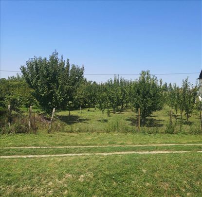Odličan plac u Futogu! Plac: 1610 m2!