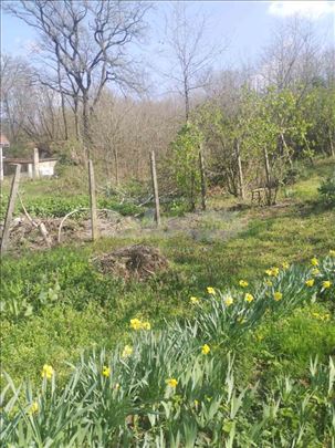 Plac Banjica - Jajinci -(okretnica trole)33,5 a