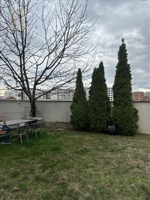 Prostrana kuća sa velikim dvorištem i poslovnim pr