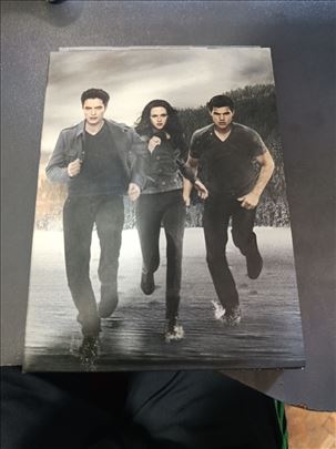 Breaking Dawn Film DVD