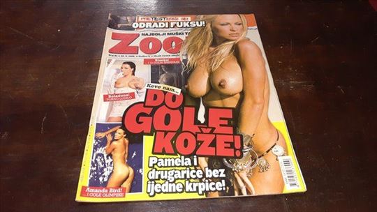 ZOOM BR.84