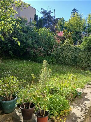 Dedinje 324 m2, 930m2 plac