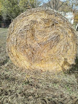 Ovsena slama 