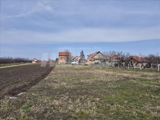 Plac Misa,Pelisterska