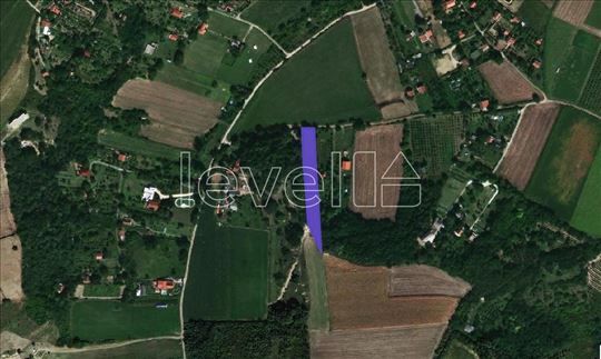 Plac,Petrovaradin,Zanoš,kv: 2481.00