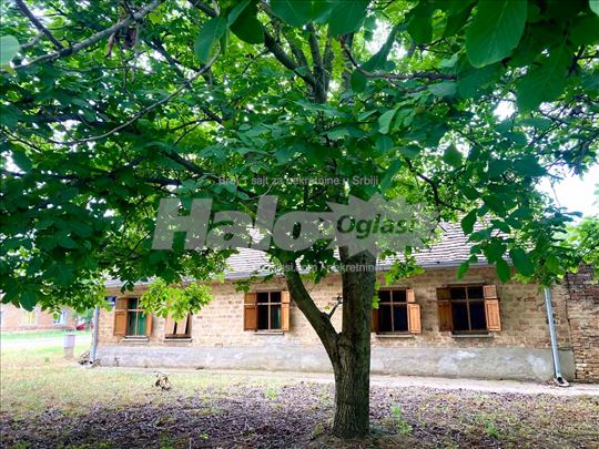 Аутентична бантска кућа/Аuthentic house in Banat