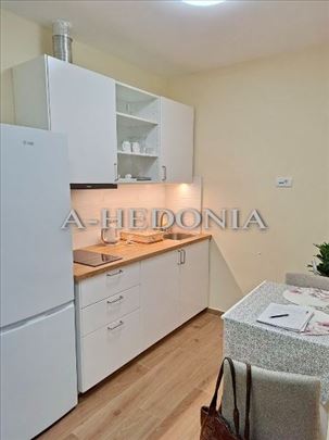 Banovo brdo, izdavanje, 1.5, renoviran, namešten