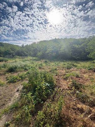 Krčedin građevinsko zemljište 745m2