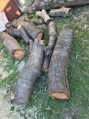 Na prodaju trupci divlje tresnje i oraha