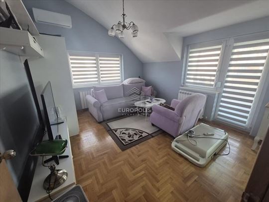 Oliverina, Učiteljsko naselje, Zvezdara
