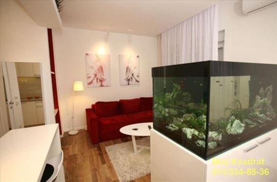 Savski venac, Beograđanka - Dobrinjska, 171m2+60m2