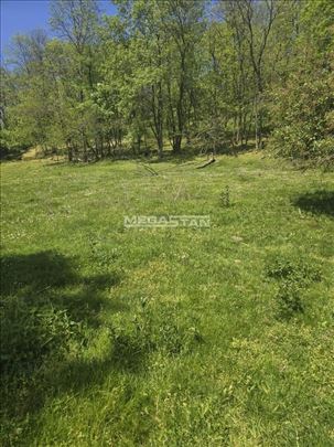 Idiličan plac sa šumom, Mali Požarevac